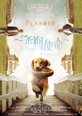 久久丁香
