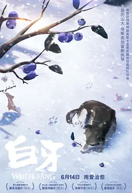 国产一区二区不卡免费观在线
