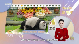 91黄色激情网站